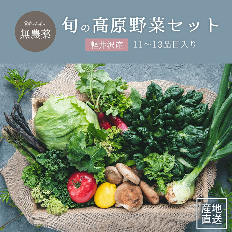 【 11~13品目入り 】軽井沢産 無農薬 朝採り 高原野菜 詰め合わせ セット 長野県 軽井沢 レタス 雪かぶ 春菊 からし菜 ブロッコリー カーリーケール ルッコラ ズッキーニ ハーブ バーベキュー 長野 信州 無農薬野菜 美味しい 朝 野菜 やさい 産地直送 朝採れ set 送料無料
