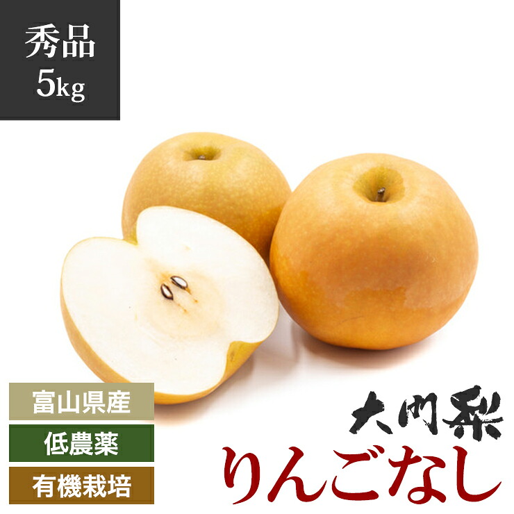 【楽天市場】【予約】秀品 大門梨 低農薬 有機栽培 りんご梨 5kg 富山県産 朝採り 梨 完熟梨 赤土栽培 完熟 樹熟 呉羽梨 フルーツ 梨 ...