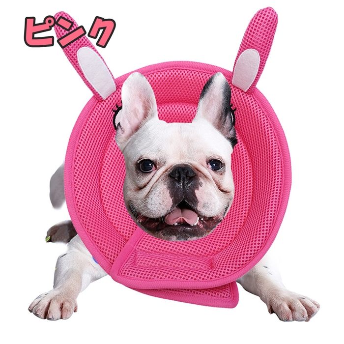 楽天市場 10 オフクーポン配布中 犬 猫 ソフト エリザベスカラー 優しい 柔らかい ストレスフリー 介護犬 面白い 可愛い マジックテープ フレンチブルドック フレブル ケガしない アレルギー Km533g Bestwear