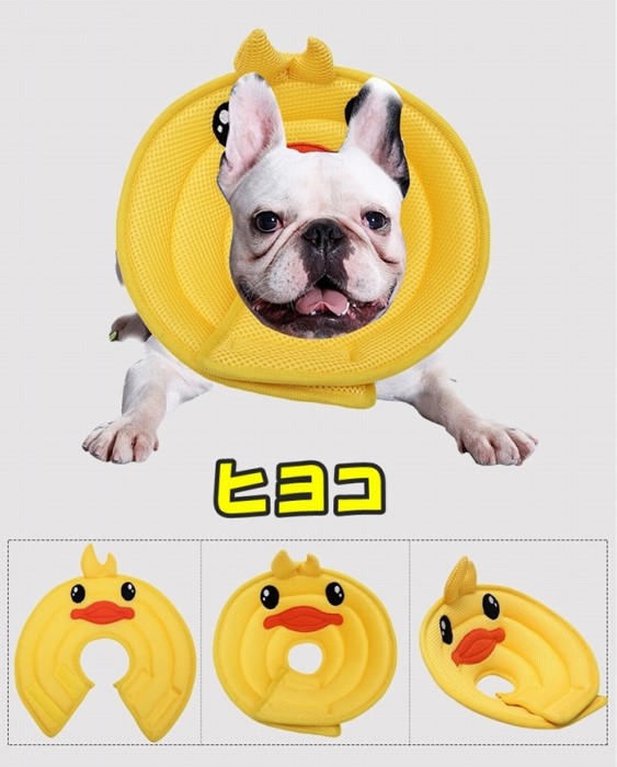 楽天市場 10 オフクーポン配布中 犬 猫 ソフト エリザベスカラー 優しい 柔らかい ストレスフリー 介護犬 面白い 可愛い マジックテープ フレンチブルドック フレブル ケガしない アレルギー Km533g Bestwear