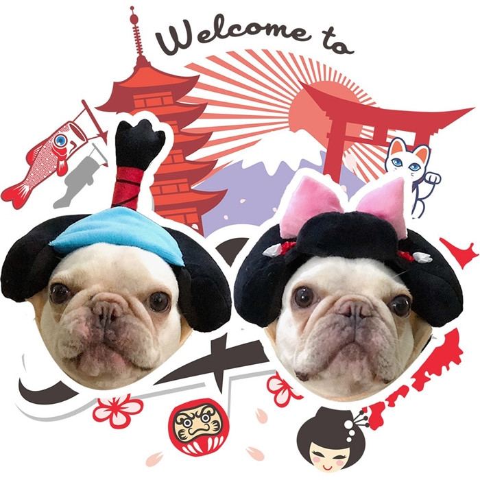 犬着物かつら正月ちょんまげハロウィンクリスマスイベント帽子ポメラニアンミニチュアシュナウザーヨークシャテリアヨーキーシーズーマルチーズフレンチブルドッグキャバリアパグパピヨンボストンテリア殿姫舞子侍時代劇撮影イベントKM134G