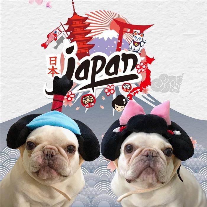 犬 着物 かつら 正月 ちょんまげ ハロウィン クリスマス イベント 帽子 ポメラニアン ミニチュアシュナウザー ヨークシャテリア ヨーキー シーズー マルチーズ フレンチブルドッグ キャバリア パグ パピヨンボストンテリア 殿 姫 舞子 侍 時代劇 撮影 イベント Km134g