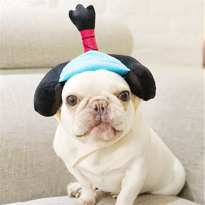 犬着物かつら正月ちょんまげハロウィンクリスマスイベント帽子ポメラニアンミニチュアシュナウザーヨークシャテリアヨーキーシーズーマルチーズフレンチブルドッグキャバリアパグパピヨンボストンテリア殿姫舞子侍時代劇撮影イベントKM134G
