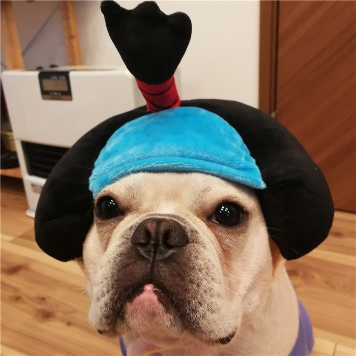 犬着物かつら正月ちょんまげハロウィンクリスマスイベント帽子ポメラニアンミニチュアシュナウザーヨークシャテリアヨーキーシーズーマルチーズフレンチブルドッグキャバリアパグパピヨンボストンテリア殿姫舞子侍時代劇撮影イベントKM134G