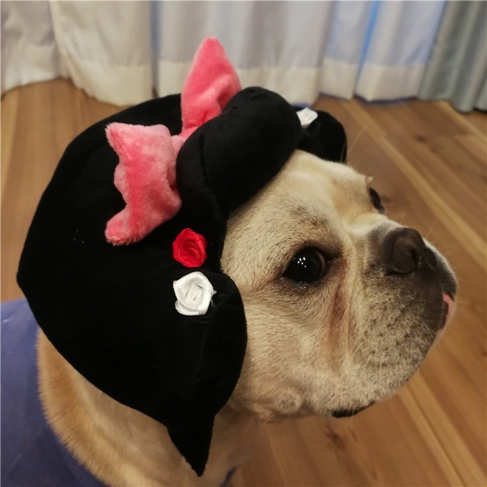 犬着物かつら正月ちょんまげハロウィンクリスマスイベント帽子ポメラニアンミニチュアシュナウザーヨークシャテリアヨーキーシーズーマルチーズフレンチブルドッグキャバリアパグパピヨンボストンテリア殿姫舞子侍時代劇撮影イベントKM134G