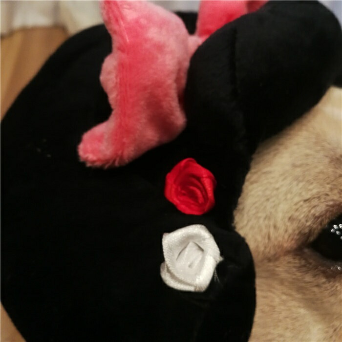 犬着物かつら正月ちょんまげハロウィンクリスマスイベント帽子ポメラニアンミニチュアシュナウザーヨークシャテリアヨーキーシーズーマルチーズフレンチブルドッグキャバリアパグパピヨンボストンテリア殿姫舞子侍時代劇撮影イベントKM134G