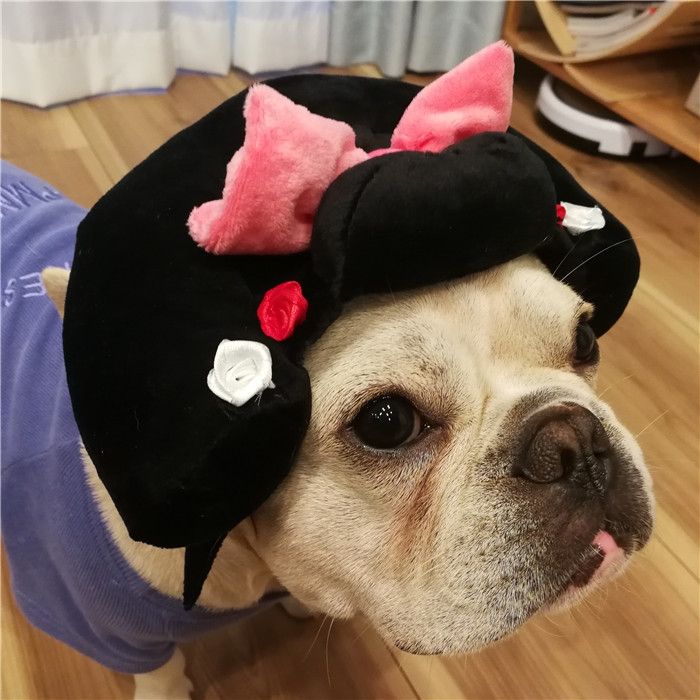 犬着物かつら正月ちょんまげハロウィンクリスマスイベント帽子ポメラニアンミニチュアシュナウザーヨークシャテリアヨーキーシーズーマルチーズフレンチブルドッグキャバリアパグパピヨンボストンテリア殿姫舞子侍時代劇撮影イベントKM134G