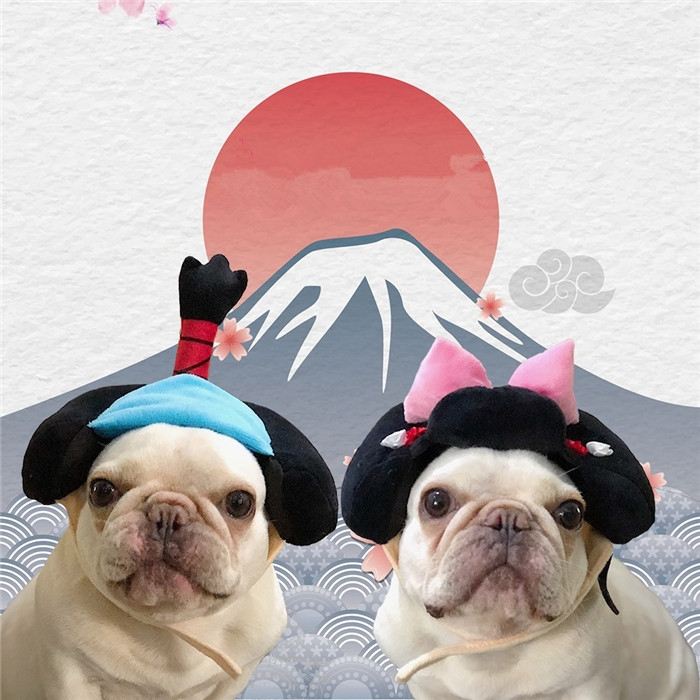 犬着物かつら正月ちょんまげハロウィンクリスマスイベント帽子ポメラニアンミニチュアシュナウザーヨークシャテリアヨーキーシーズーマルチーズフレンチブルドッグキャバリアパグパピヨンボストンテリア殿姫舞子侍時代劇撮影イベントKM134G