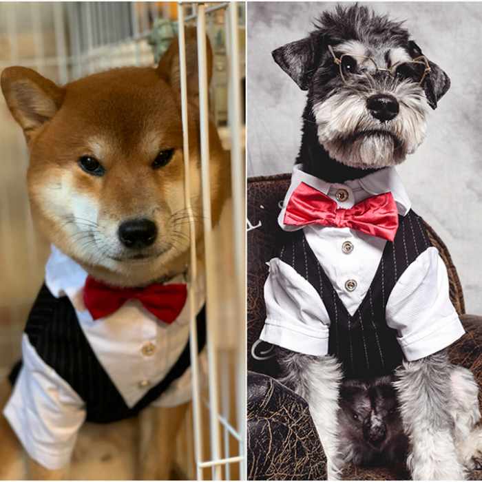 フレンチブルドッグ 服 スーツ 中型犬 ペット 蝶ネクタイ付き 小型犬 タキシード 犬
