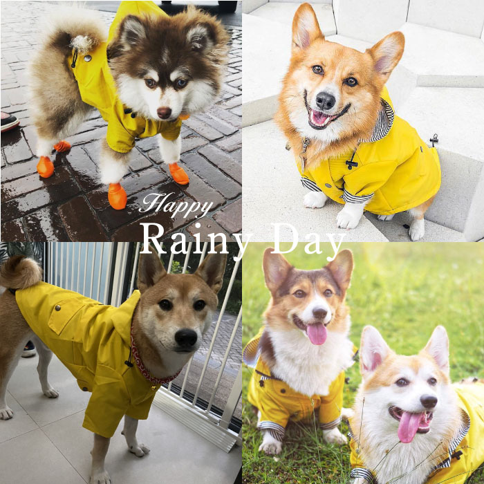 楽天市場 犬 レインコート 中型犬 小型犬 大型犬 雨 散歩 カッパ おしゃれ かわいい 散歩グッズ 小さいサイズ 大きいサイズ フレンチブルドッグ パグ 柴犬 コーギー ポメラニアン Km312jk New Bestwear