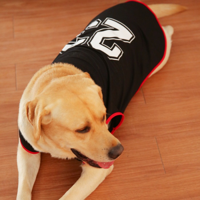 メーカー再生品】 犬 服 大型犬 中型犬 夏服 タンクトップ メッシュ虫よけ 汚れ防止 ゴールデン ラブラドール 秋田犬 ハスキー サモエド スタンダードプードル ルームウェア 抜け毛防止 暑さ対策 KM313T qdtek.vn メーカー再生品】 犬 服 大型犬 中型犬 夏服 タンクトップ メッシュ虫よけ 汚れ防止 ゴールデン ラブラドール 秋田犬 ハスキー サモエド スタンダードプードル ルームウェア 抜け毛防止 暑さ対策 KM313T qdtek.vn