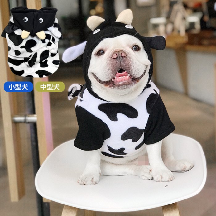 楽天市場】【売り尽くし】犬服 秋冬 コスプレ 服 コスチューム 冬