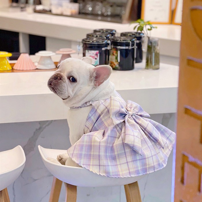待望☆】 犬服 春 夏 秋 ワンピース フレンチブルドッグ 服 中型犬 フレブル 花柄 女の子 スカート フリル レース 個性的 刺繍 犬 ドッグ 