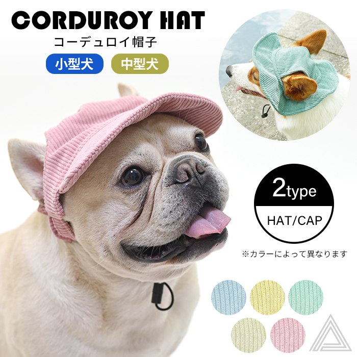 楽天市場】ペット帽子 コーデュロイ帽子 ハット キャップ 2type 耳出し