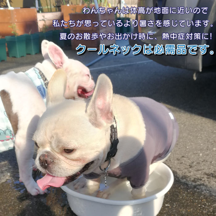 楽天市場 送料無料 犬 クールネック ひんやり グッズ 保冷剤 首 ペット 熱中症対策 クールスヌード 犬用 フレブル フレンチブルドッグ 中型犬 大型犬 夏 Km500g New Bestwear