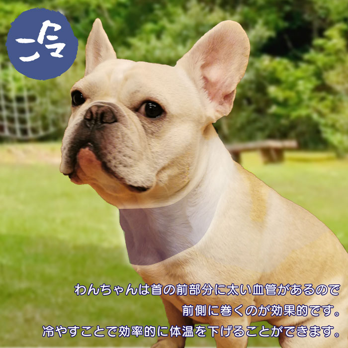 Zyp9aplgzhqlnm