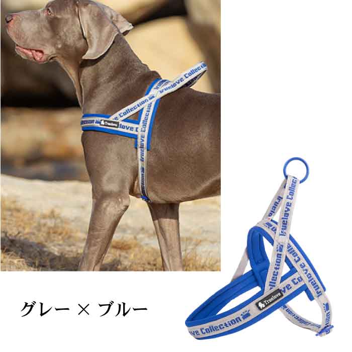 楽天市場 10 オフクーポン配布中 犬 ソフトハーネス ハーネス おしゃれ 胴輪 安全 7色 反射素材 かわいい カラフル 夜間安全 定番 クッション入り フレンチブルドッグ 超小型犬 小型犬 中型犬 大型犬 優しい 痛くない Km519g Bestwear