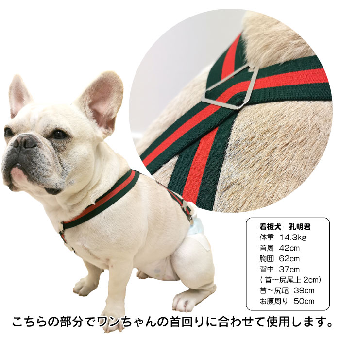 楽天市場 犬 おむつ サスペンダー 犬用サスペンダー 1000円ぽっきり 送料無料 ペットウェア ずれにくい 2点留め 3点留め マナーパンツ かわいい おしゃれ Km534g New フィットネス ヨガウェアbestwear