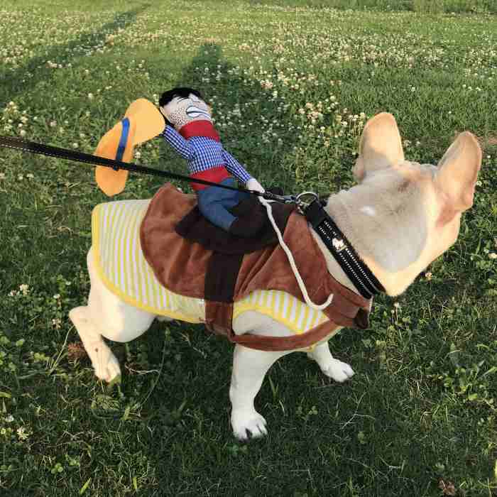 犬 ハロウィン 服 コスチューム コスプレ ペット用 カゥボーイ 人形 おもしろグッズ 変装 フレンチブルドッグ コーギー 小型犬 中型犬 大型犬 Km560g New Crunchusers Com