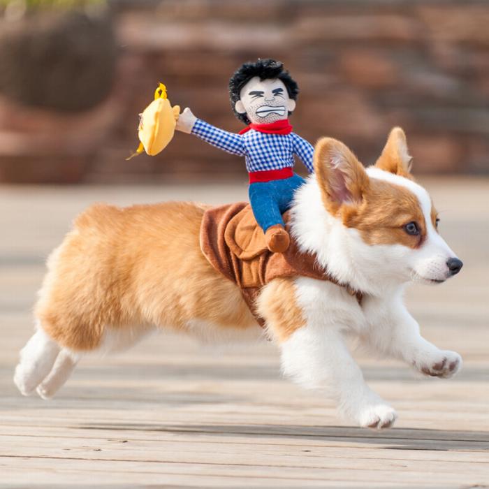 犬 ハロウィン 服 コスチューム コスプレ ペット用 カゥボーイ 人形 おもしろグッズ 変装 フレンチブルドッグ コーギー 小型犬 中型犬 大型犬 Km560g New Crunchusers Com