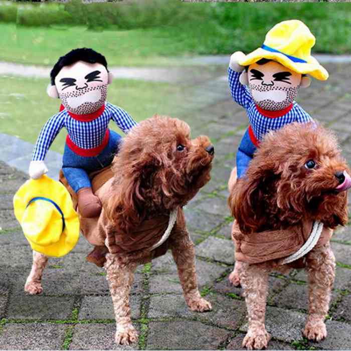 犬 ハロウィン 服 コスチューム コスプレ ペット用 カゥボーイ 人形 おもしろグッズ 変装 フレンチブルドッグ コーギー 小型犬 中型犬 大型犬 Km560g New Crunchusers Com