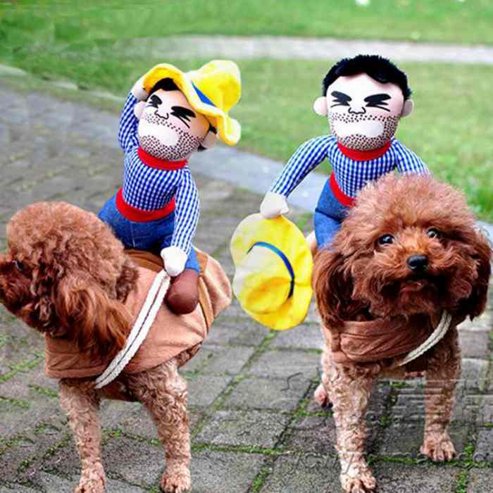 犬 ハロウィン 服 コスチューム コスプレ ペット用 カゥボーイ 人形 おもしろグッズ 変装 フレンチブルドッグ コーギー 小型犬 中型犬 大型犬 Km560g New Crunchusers Com