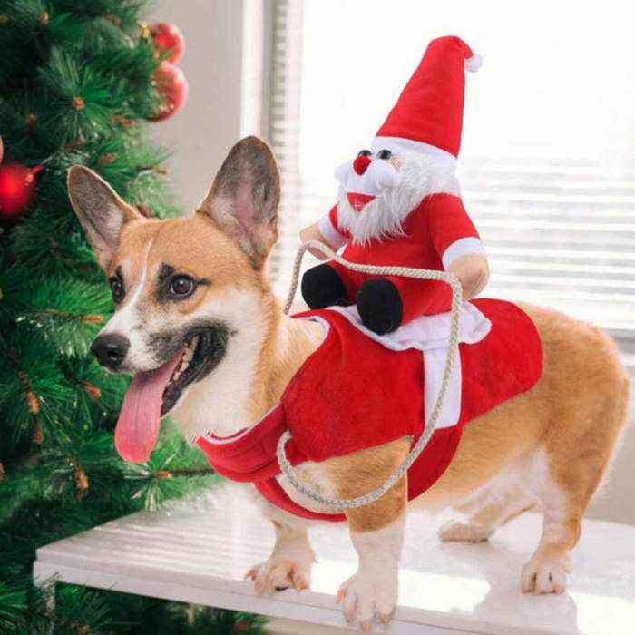 楽天市場 スーパーsale10 Off 犬 クリスマス サンタクロース 冬 服 コスプレ レッド おもしろグッズ 変装 ペットコスチューム ペット服 パーティー フレンチブルドッグ 猫 小型犬 中型犬 Km562g New フィットネス ヨガウェアbestwear