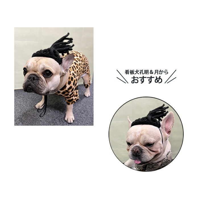 犬 猫 フレンチブルドッグ パーマ アフロ コスプレ ペット服 変装 カツラ おもしろグッズ ハロウィン