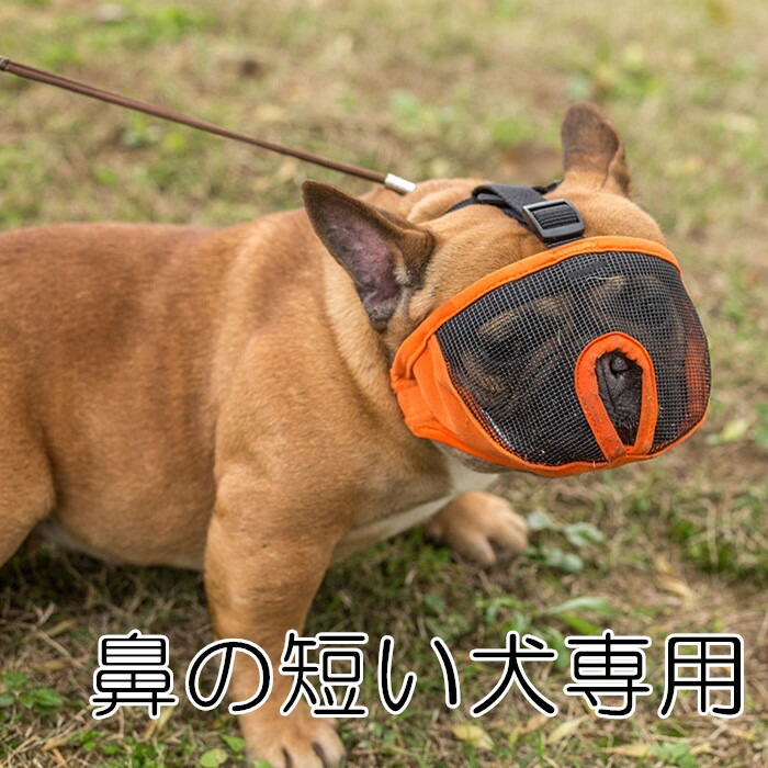 楽天市場 口輪 マズル 鼻の短い犬 短頭種 ショートノーズマズル 無駄吠え 拾い食い 噛みつき 舐め癖 防止 マスク メッシュ 安心安全 フレブル パグ 犬用 Km626g New Bestwear
