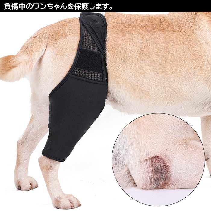 休み ポイント10倍 犬 サポーター 犬用 膝 関節 靭帯 脱臼 保護 プロテクター 介護 足プロテクター 保護用包帯 通気性 超軽量 弾力 手術怪我固定 足の保護km677g Whitesforracialequity Org