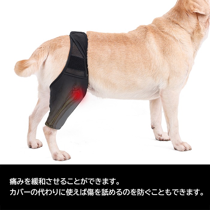 休み ポイント10倍 犬 サポーター 犬用 膝 関節 靭帯 脱臼 保護 プロテクター 介護 足プロテクター 保護用包帯 通気性 超軽量 弾力 手術怪我固定 足の保護km677g Whitesforracialequity Org