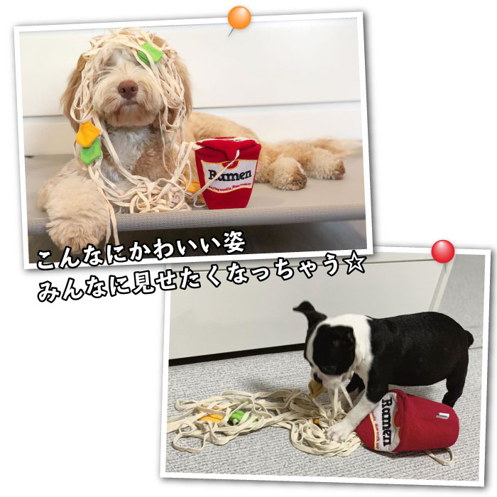楽天市場 10 オフクーポン配布中 動画あり 犬 おもちゃ 知育玩具 音が鳴る ペット おやつ 訓練 ラーメン スニッフィング 知育トイ ノーズワーク トレーニング ヌードル Km617g New Bestwear