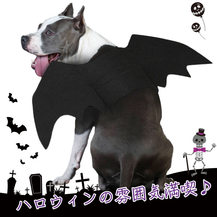 楽天市場 犬 ハロウィン コスプレ 衣装 マジックテープ コウモリ コスチューム 服 羽 ドッグウェア 小型犬 中型犬 大型犬 被り物 仮装 パンプキン かぼちゃ Km638g New Bestwear