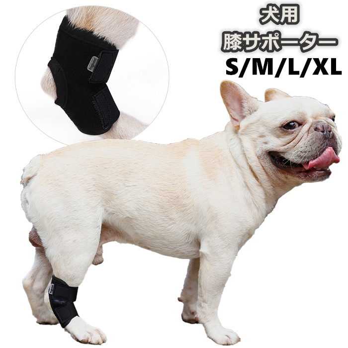 ポイント10倍 犬 プロテクター 犬用 サポート 関節 足プロテクター ペット 介護 サポーター 膝 脱臼 保護 靭帯