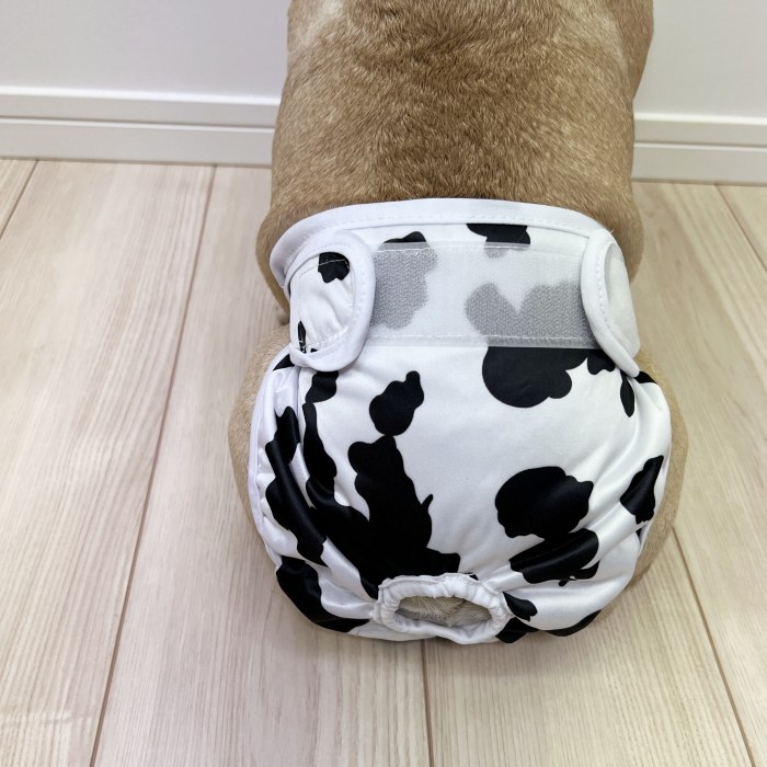 マナーパンツ 犬 フレンチブルドック カバー オムツ メス 女の子 お買い物マラソン 1000円 介護用 シニア犬 消臭 かぶれ 嫌がる 介護 去勢 交配 散歩 高齢犬 避妊 Km694g 流行に