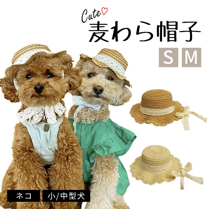 楽天市場】ペット用帽子 麦わら帽子 春 夏 帽子 アクセサリー 犬 犬用