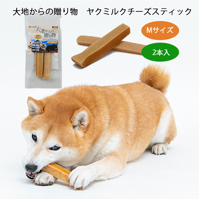 楽天市場】【イチオシ！】アラタ おせんべい いぬせん ノンフライ ローカロリー 愛犬用スナック しつけ ごほうび 特選 ミルク いわし 青のり しらす  神戸牛 犬用 おやつ TK007G : BESTWEAR