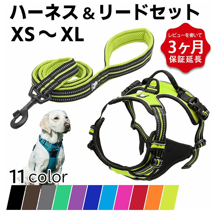 楽天市場】【レビュー特典 延長3か月保証】Truelove 犬 リード