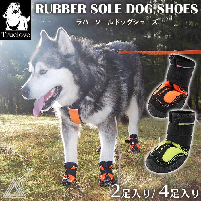 楽天市場】【ゼットストップベルトシューズXL】犬 靴 犬用靴 犬