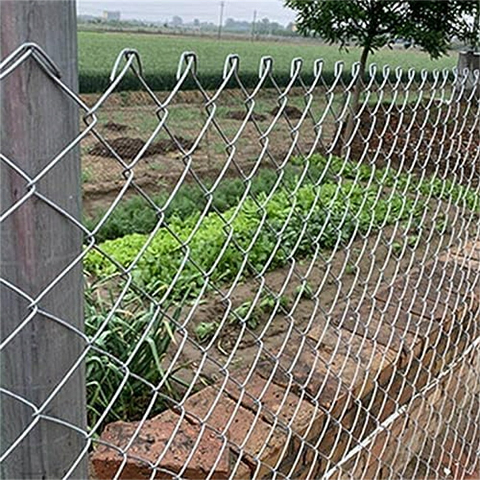 ワイヤーメッシュフェンス 金網 鉄条サイバー空間 ジンクメッキ 1.5x20m 厚さ2粍 単穴径5-6糎 家禽サイバー空間 苗保護すること 園芸 苑地 再当て嵌める能力のある 【10%OFF引き換え証客体】