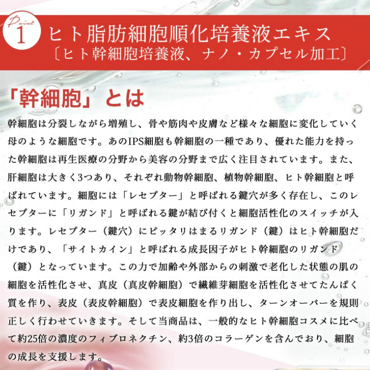 肌ケアはしっかりと ヒト脂肪細胞順化培養液とプラセンタエキスを配合した次世代コスメ リリー の美容液とクリームのセットです 日本製 コスメ 送料無料 ヒト幹細胞培養液 プラセンタ 美肌 ヒト幹細胞 クリーム コスメ スキンケア 化粧品 リリーsc Pピュアセット