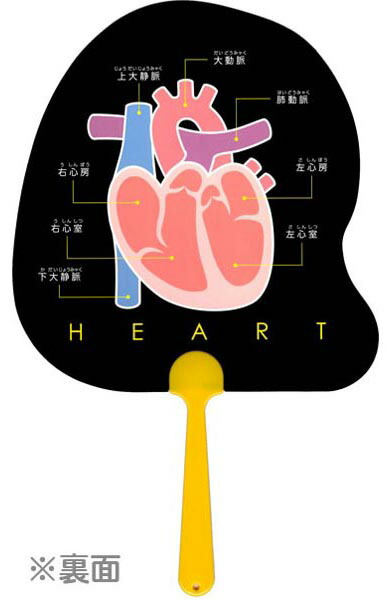 楽天市場 メール便可 人体うちわ 心臓 らんらん おもちゃ お祭り 景品