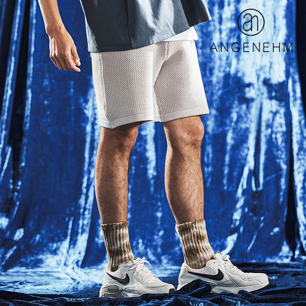 2026 春夏 先行予約 4月下旬～5月上旬入荷予定 アンゲネーム ショートパンツ ANGENEHM Sheer Mesh Airy Knit Shorts メンズ 送料無料 キャンセル不可