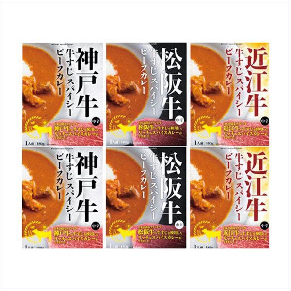 三大和牛すじ肉のカレー詰合せ6食セット 16730 内祝 内祝い お祝 御祝 記念品 出産内祝い プレゼント 快気祝い 粗供養 引出物