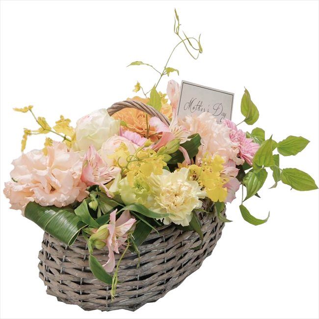 母の日 生花バスケットアレンジ 26-MD-FF05 ※お届け日5/8～10※日付指定不可 送料無料 母の日 父の日 ギフト お取り寄せ スイーツ
