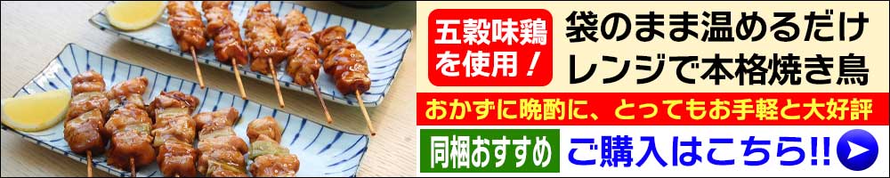 楽天市場】国産冷凍 丸どり約900g 1羽（3〜5人分目安）丸鶏 中抜き BBQ アウトドア キャンプ ダッチオーブン 調理 丸鶏 購入 クリスマス  Xmas チキン 販売 ローストチキン ご確認：10kg毎に送料一口加算 : チキンねっと