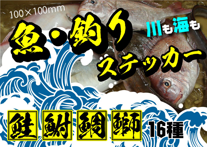 楽天市場 釣り ステッカー 筆文字 16枚セット 魚へん 漢字 車 シール 釣り道具 クーラーボックス バケツ 鮭 鮎 鮒 鯉 鰻 鯰 鯊 鱸鮃 鰈 鯛 鮪 鱚 鯵 鰤 鰹 さけ あゆ ふな こい うなぎ なまず はぜ すずき
