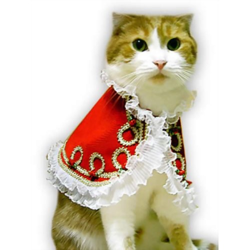 【ゴーゴーセール】愛猫の服 キャットプリン マーガレット王女ちゃまのドレス(レッド) 1枚　キャットウエア 付け襟 ネックカラー 帽子 コスプレ
