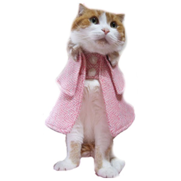 キャットプリン レイチェルちゃんの英国風コート ピンク 1枚 猫の服 猫服 キャットウエア 猫用 付け襟 ネックカラー 帽子 ネコ ねこ かわいい おしゃれ コスプレ 変装 散歩 ファッション 記念写真 年賀状 ペット名刺 送料無料 Boundarycapital Com