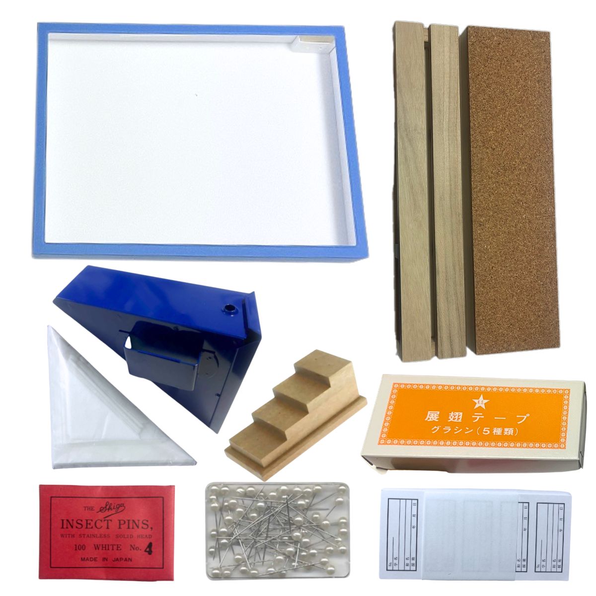 楽天市場】【※メール便不可※】 半球型昆虫樹脂標本(大)【カミキリムシ